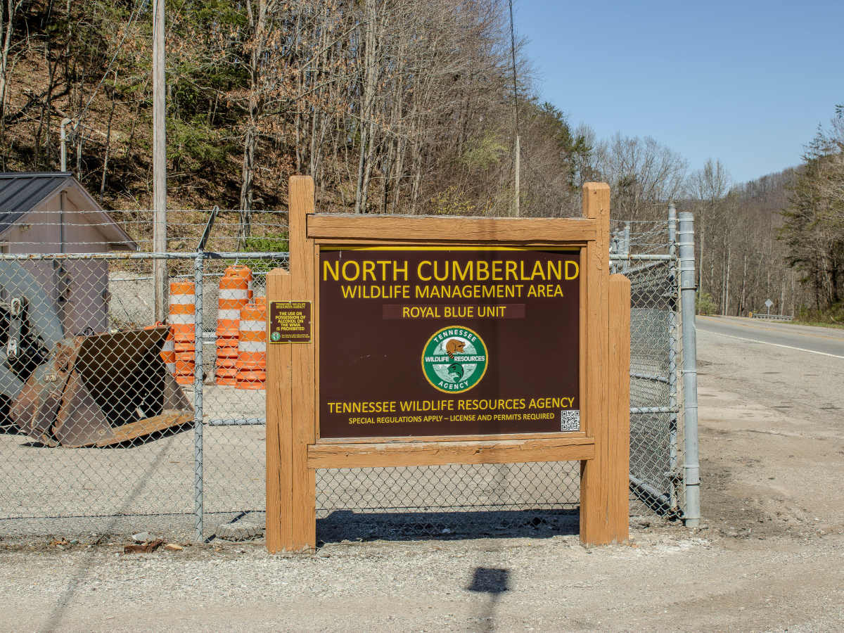 Titus Hollow Road trail photo