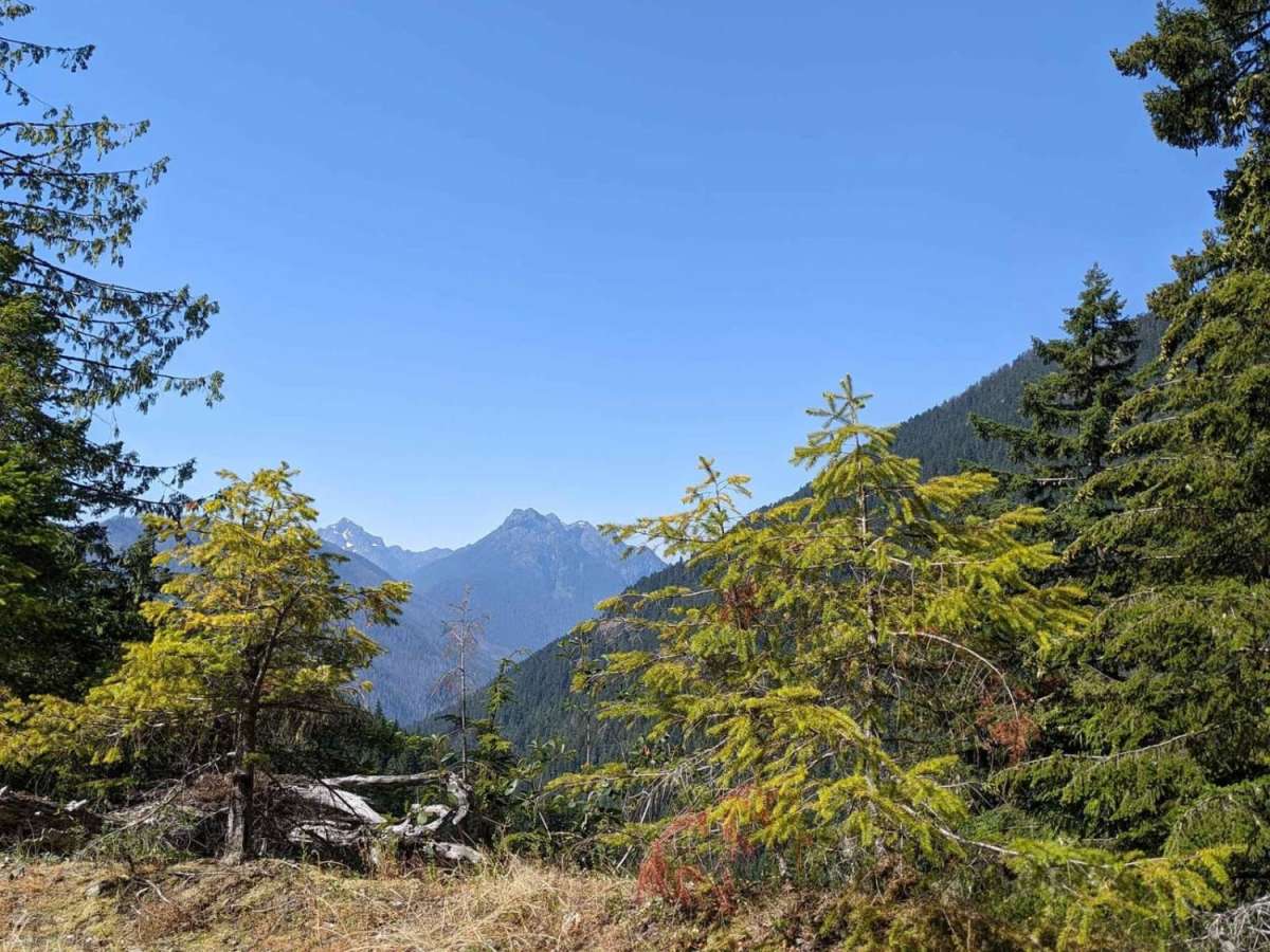 Hamma Hamma Trail with View of The Brothers photo 2