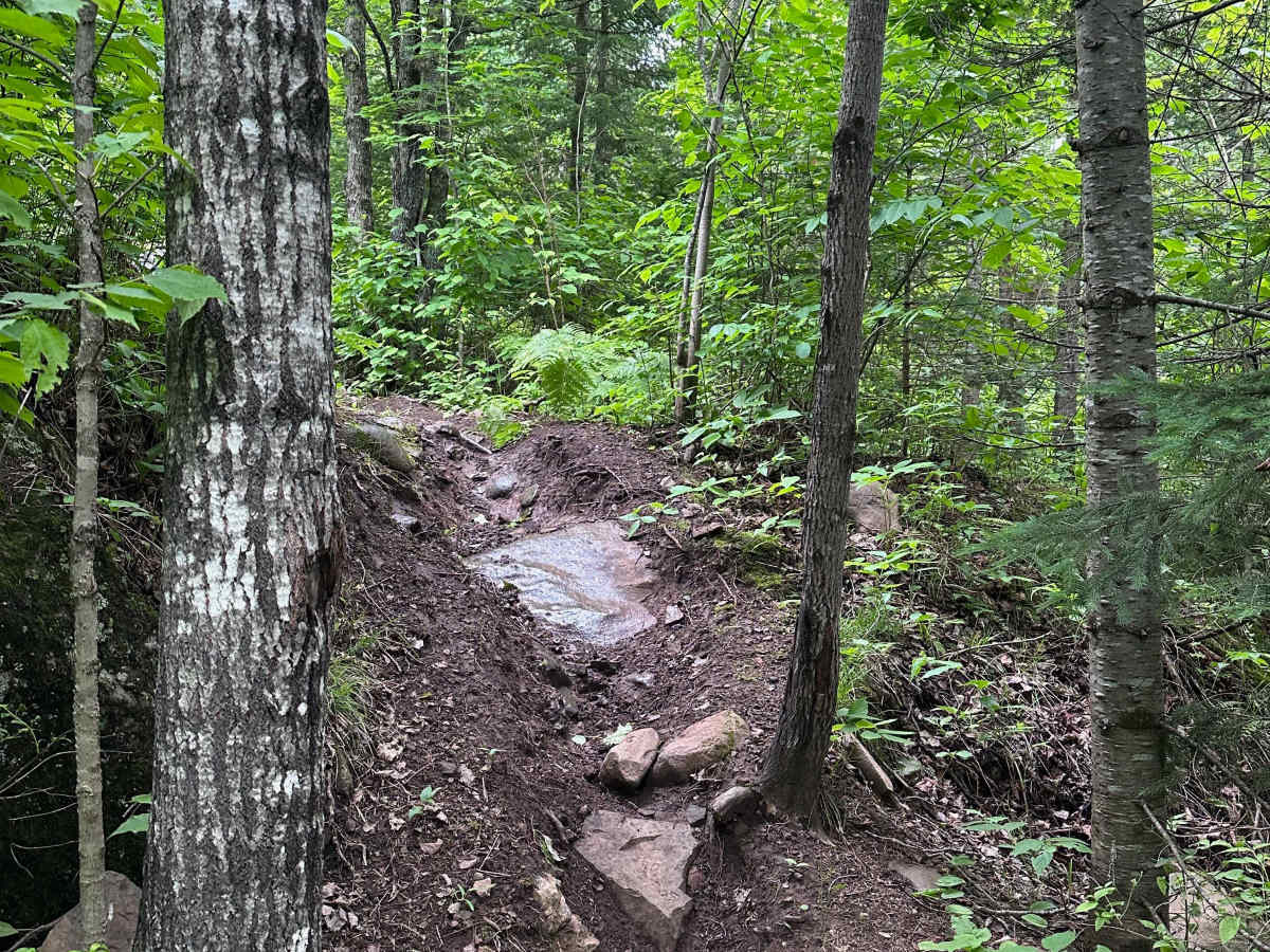 Alger Grade - Trail 6 photo 4