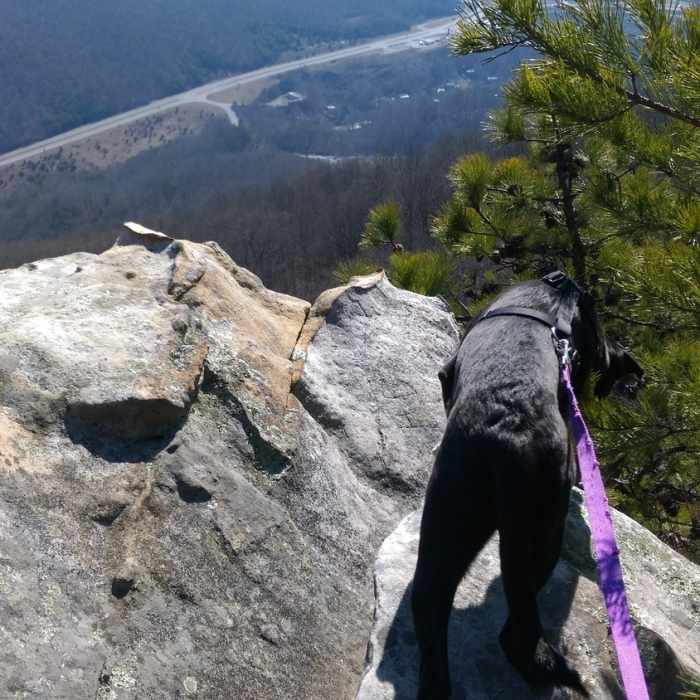 Enjoy a gorgeous view off the ridge. Near Pinnacle Overlook Out-and-Back