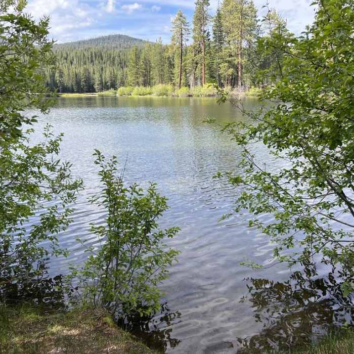 Near Manzanita Lake Loop Trail