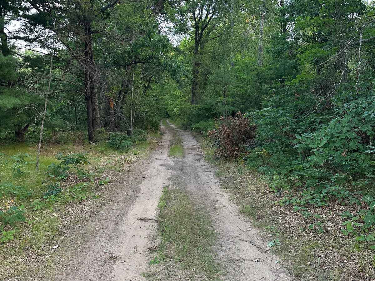 McKinley Road photo 4
