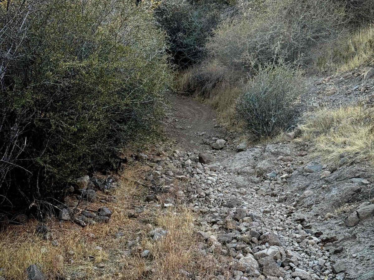 16EV223 photo 2