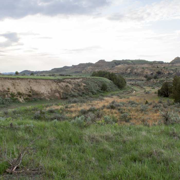 Near Lower Paddock Creek Trail