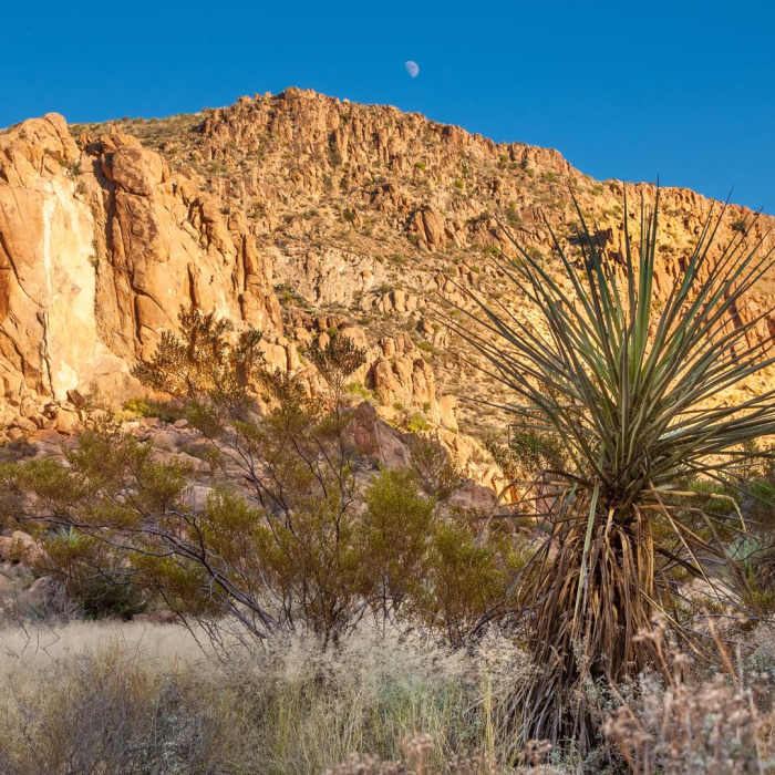 Near Balanced Rock via Grapevine Hills Trail Near Balanced Rock via Grapevine Hills Trail