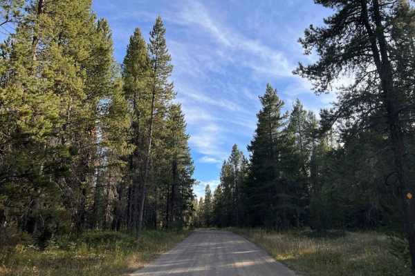 Flat Rock of Potholes