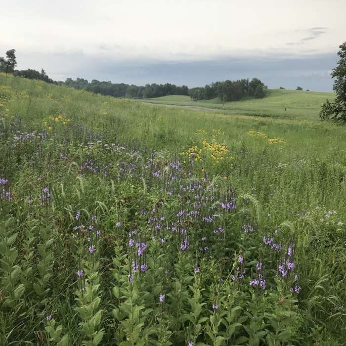 Crow Hassan Park Reserve Near Crow Hassan Loop