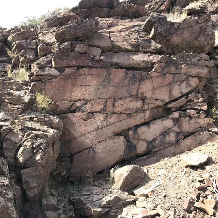 Near Griffith Canyon Petroglyph Trail