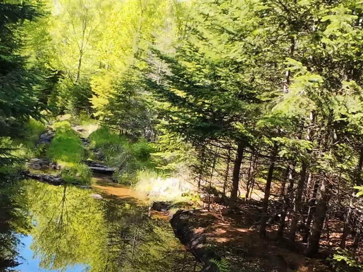 Beaumont Horseshoe Trail photo 2