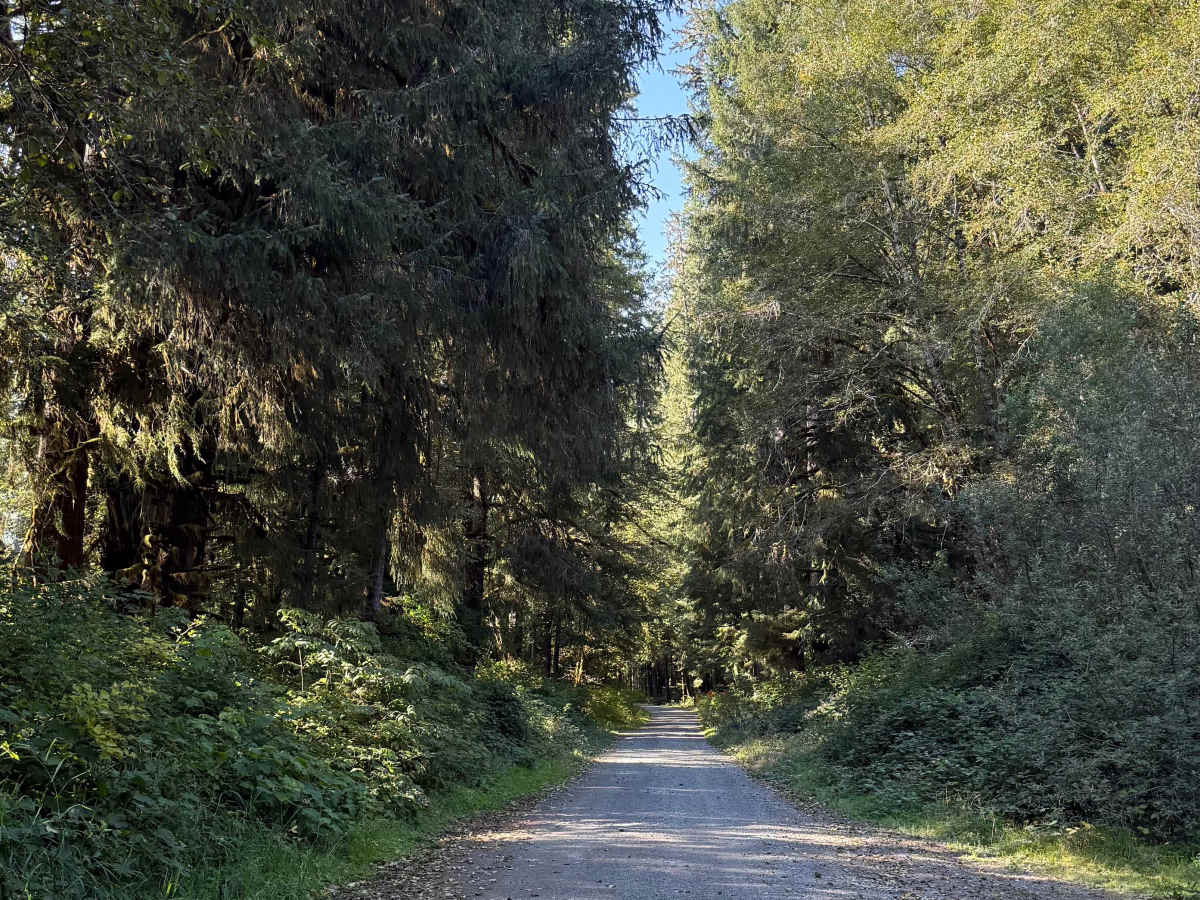 Prairie Creek–Higley Repeater Road - FS 2190 photo 5