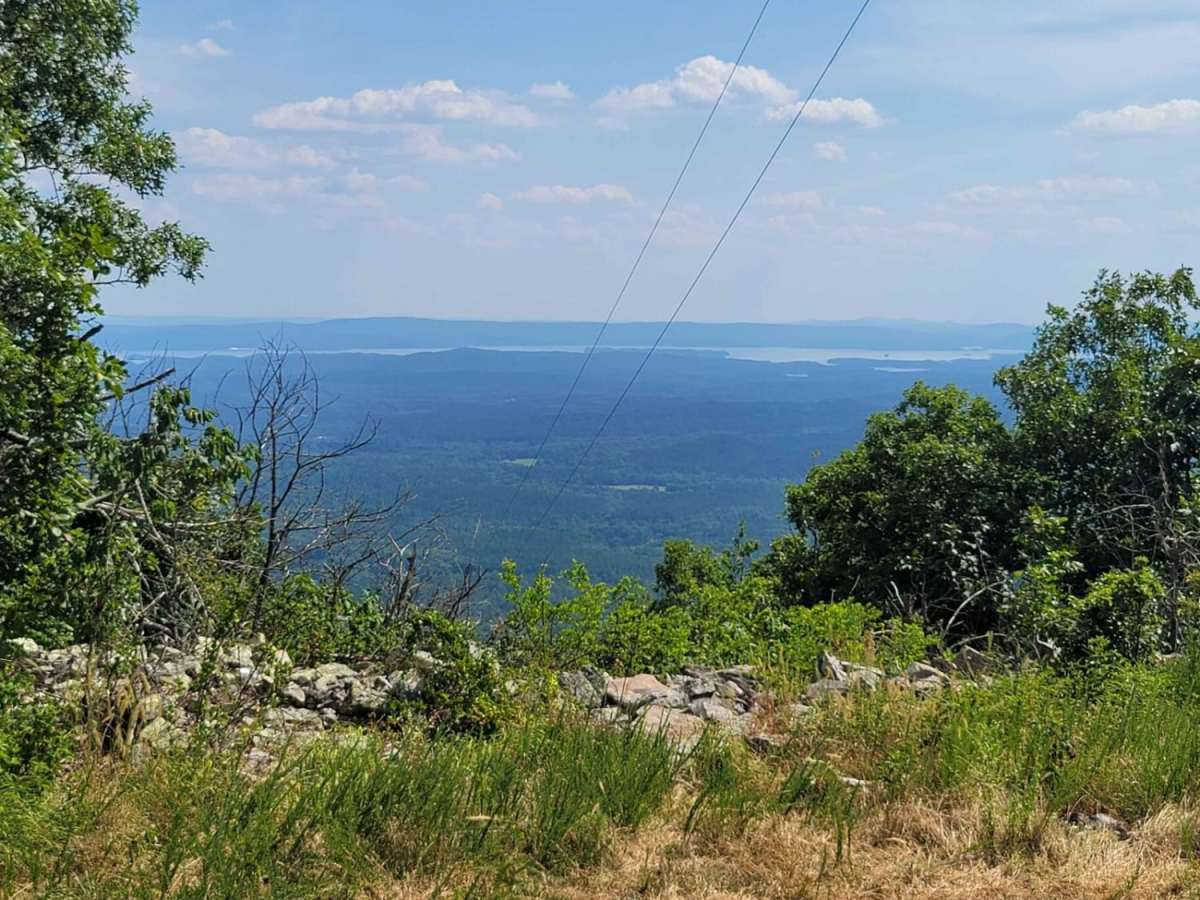 Ouachita Pinnacle 1952 FT photo 2