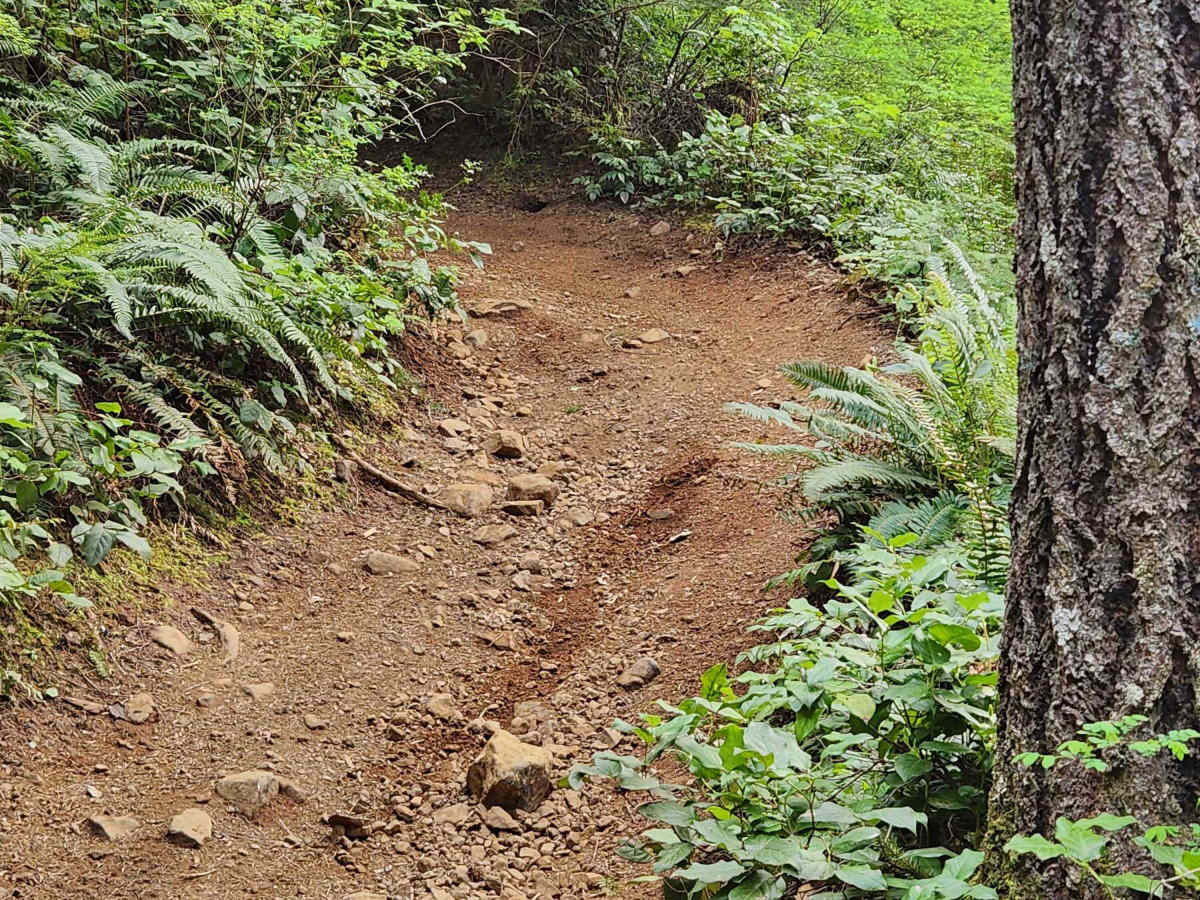 Divide Trail North photo 5