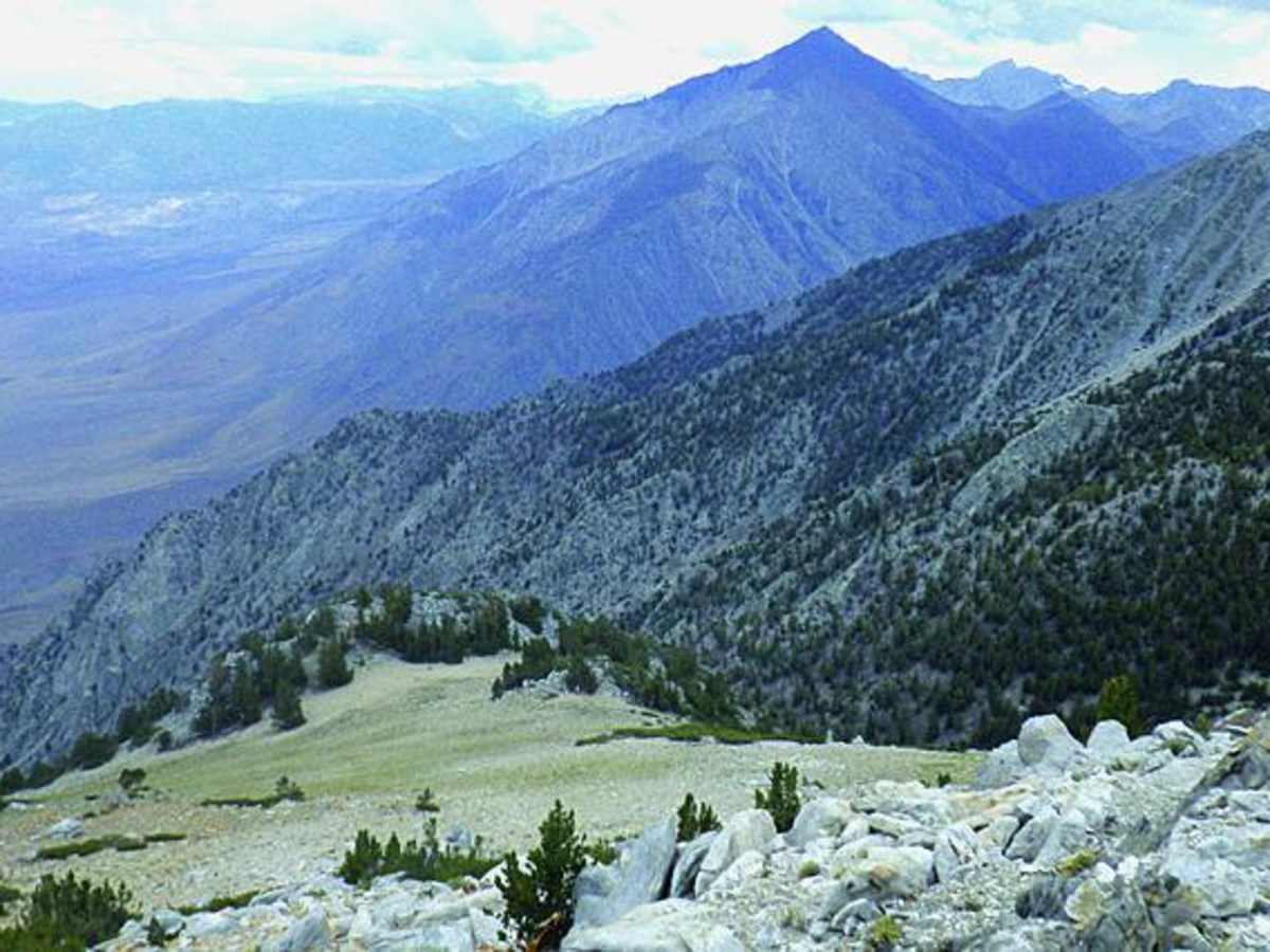 Wheeler Ridge photo 6