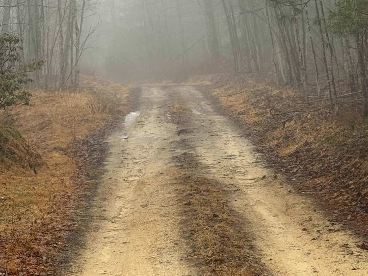 Teats Run Trail photo 5