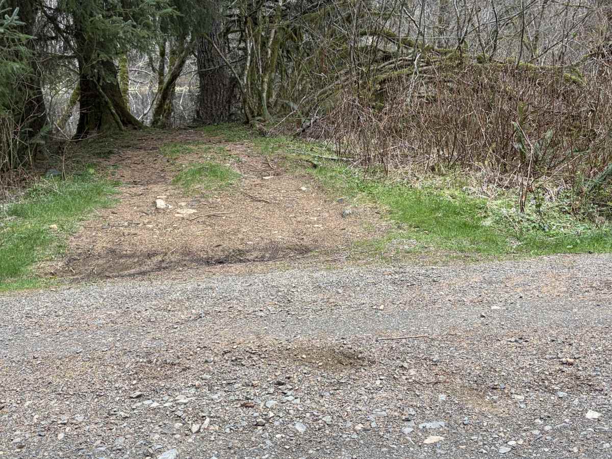 Bloom Lake photo 5