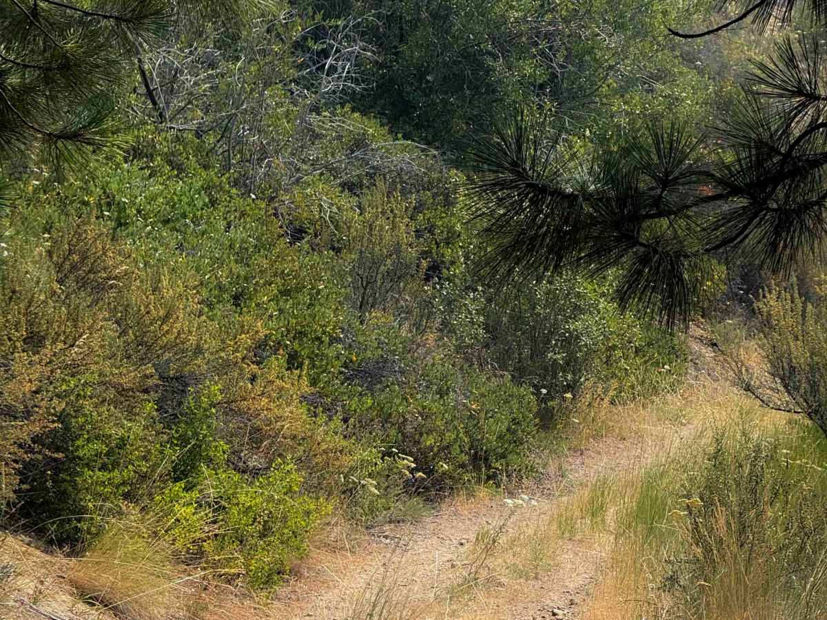 Mitchell Gold Ridge - FS 8215-113 photo 5