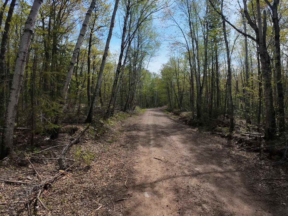 Wringer Lake Road photo 6