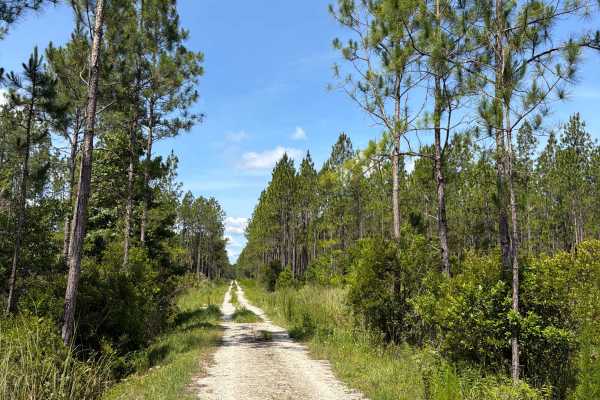 Jim‘s Road