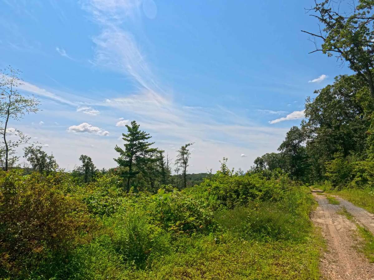 Leading Ridge Road photo 6