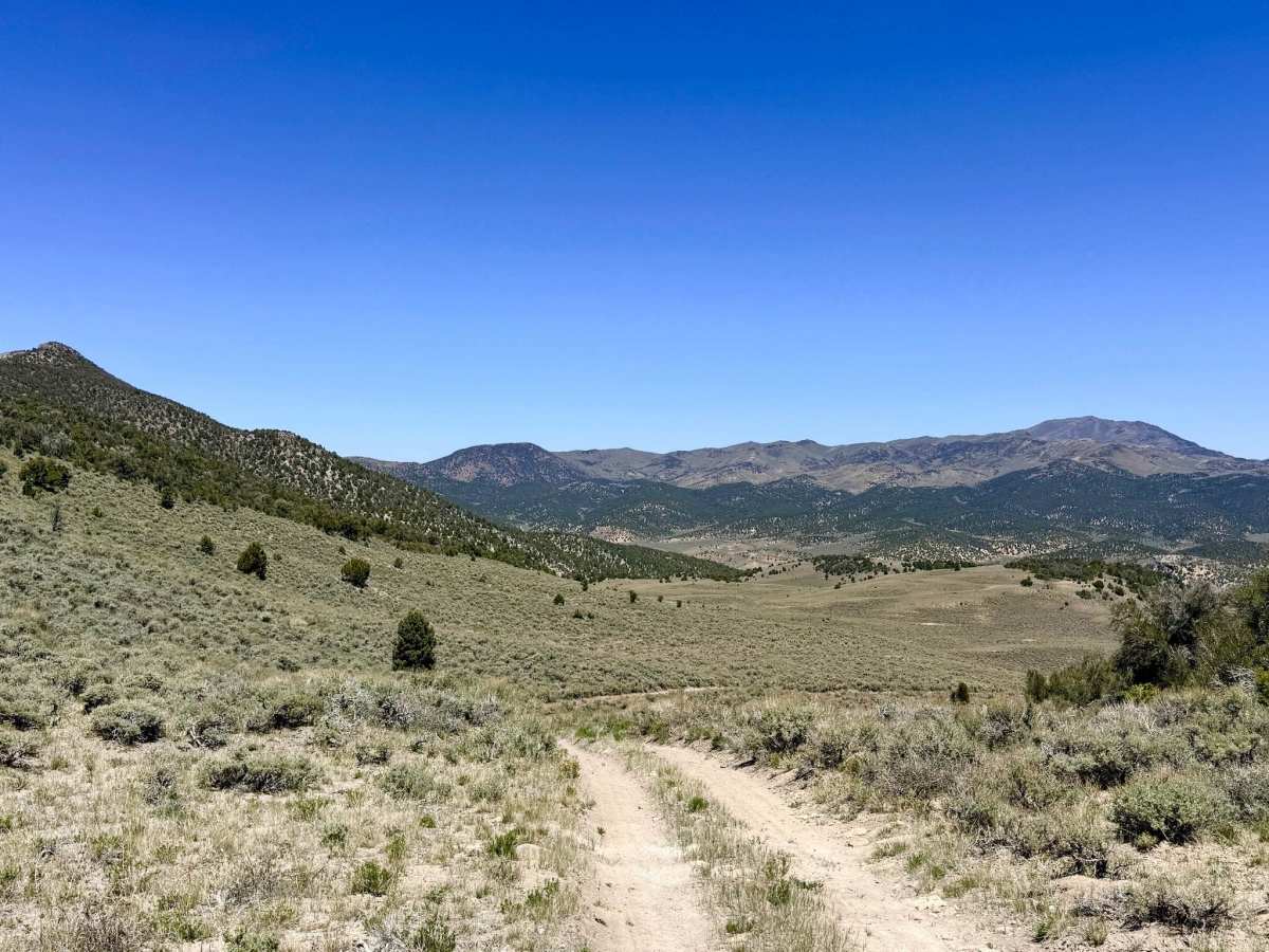 Charnac Brock Canyon - FS 43129 photo 3
