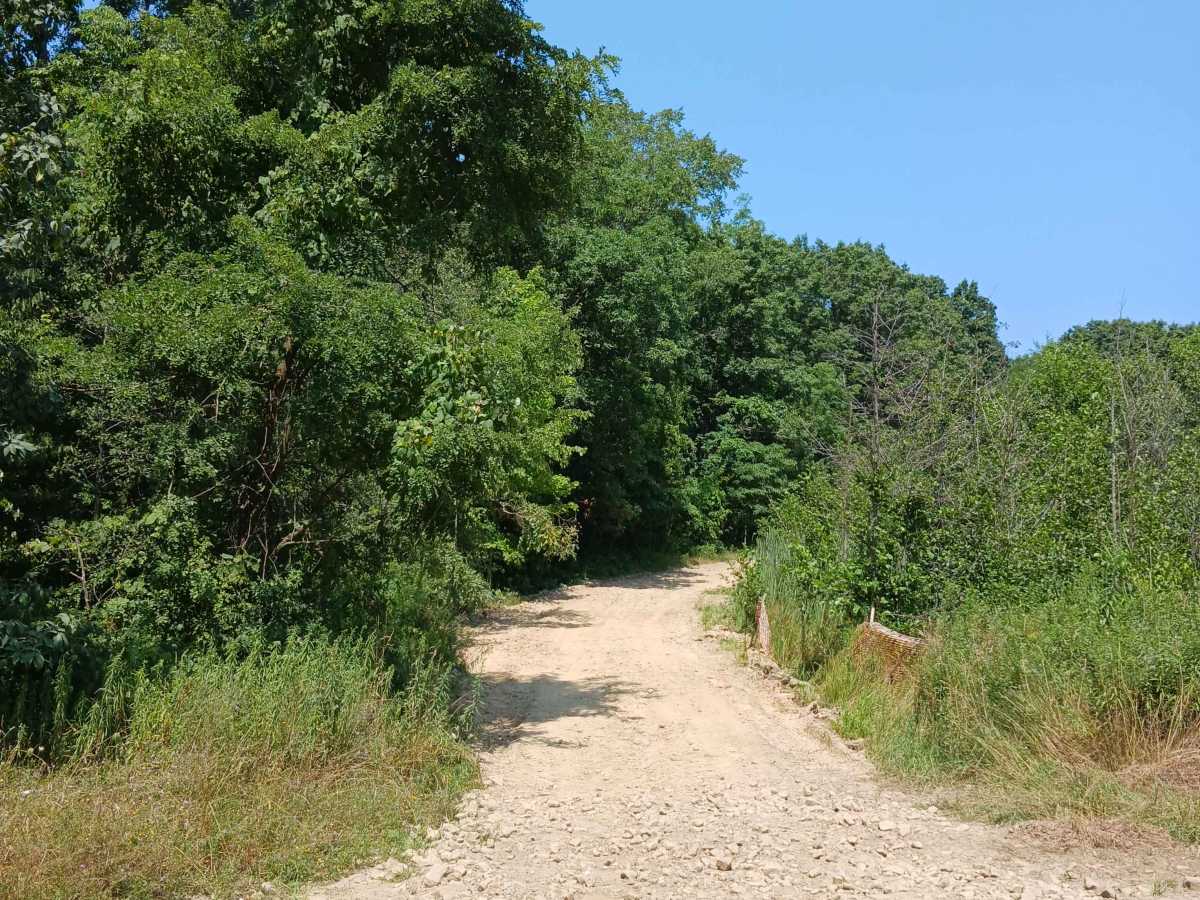 Short Lane - Rock Run Recreation Area photo 3