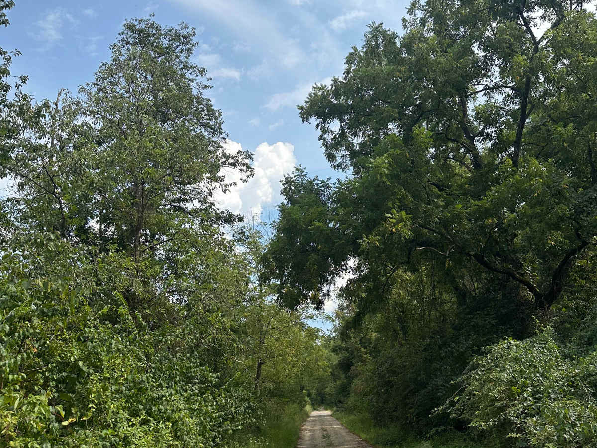 Kasecamp Loop trail photo