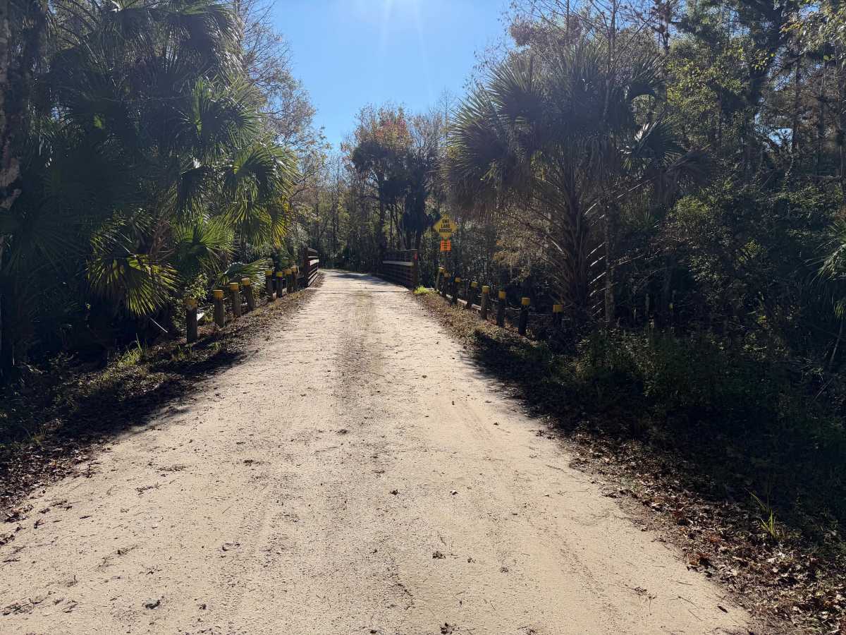 Tillman Lake Road photo 5