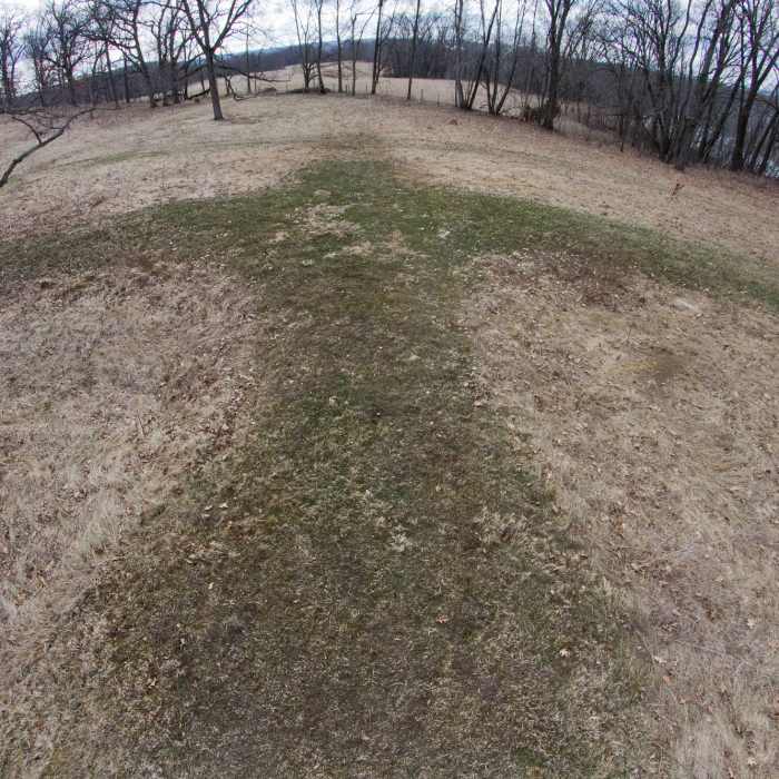 Thunderbird Effigy Mound was constructed by Native Americans 1000 years ago, with over a 200 foot wingspan! Near Galena River Trail: Aiken Segment