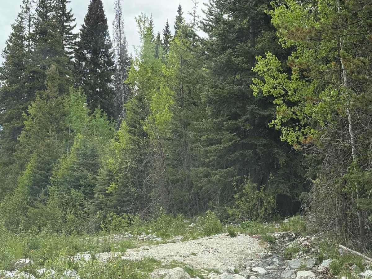 Kingdom Lake FSR photo 5