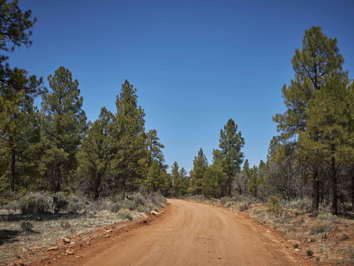 Red Skinner Road photo 4