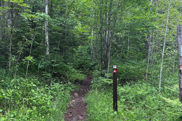 Alger Grade - Trail 7