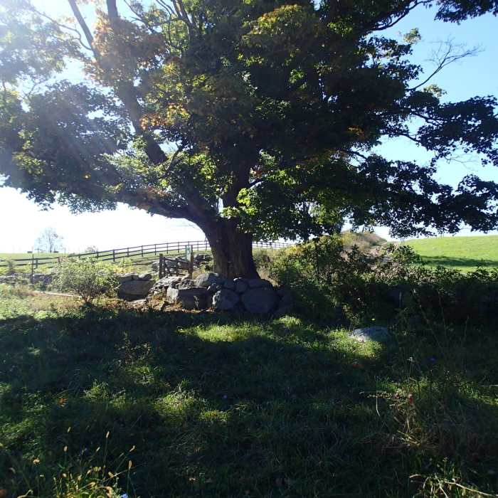 Gate next to tree for easement across private property. Be sure to close the gate. Near Perkins Trail
