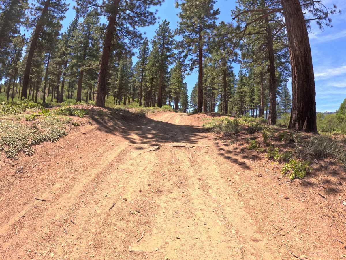 Verdi Ridge Loop Road - FS 31074 photo 6