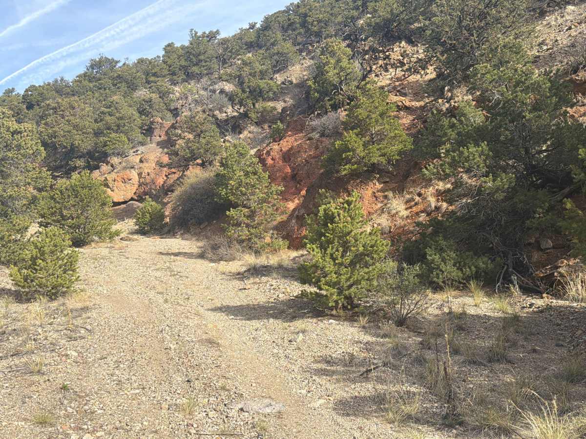 BLM 5971 photo 5