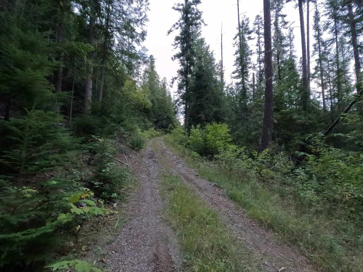 Dry Canyon Ridge - FS 1933300 photo 3