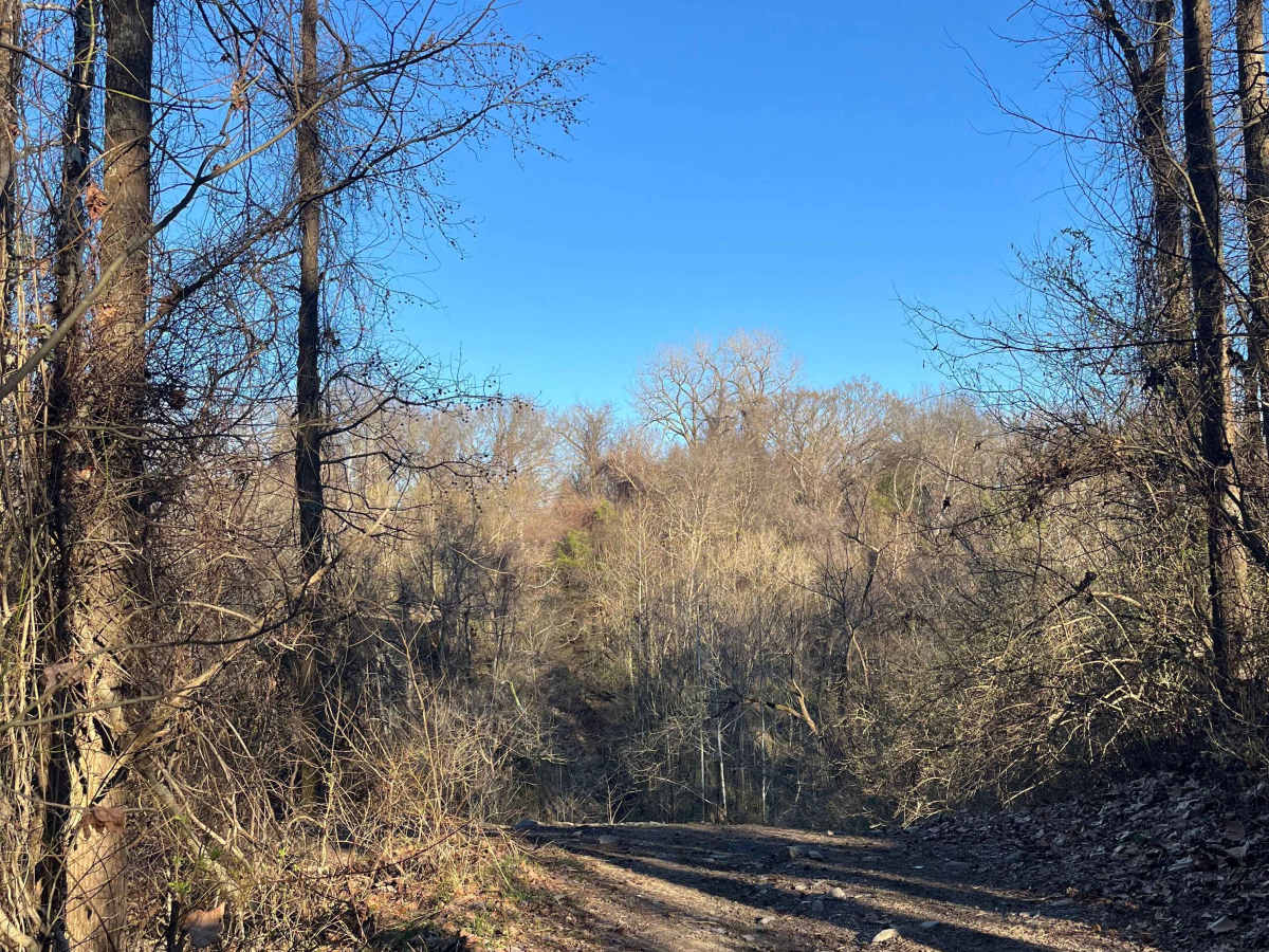 South Boundary Trail photo 5