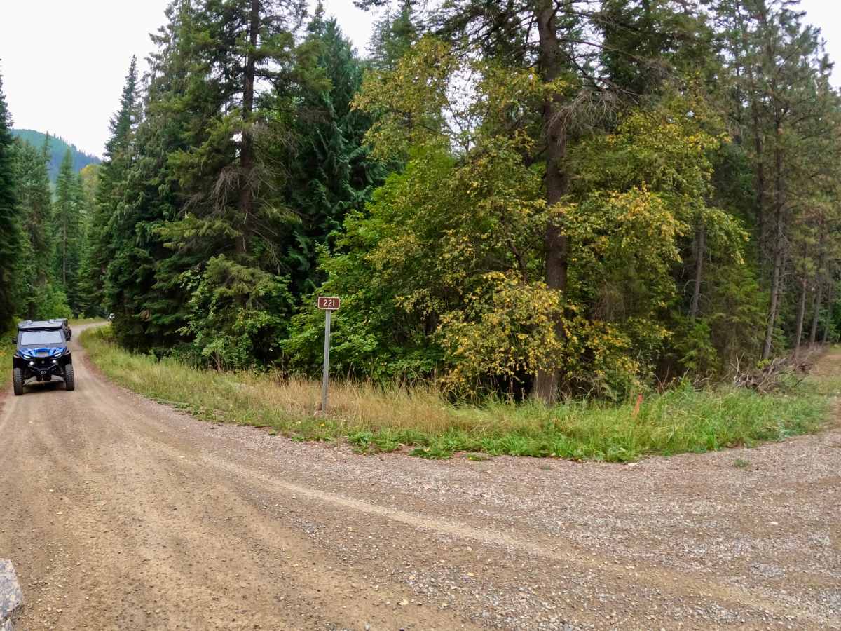 South Fork Little Joe Creek - FS 221 photo 2