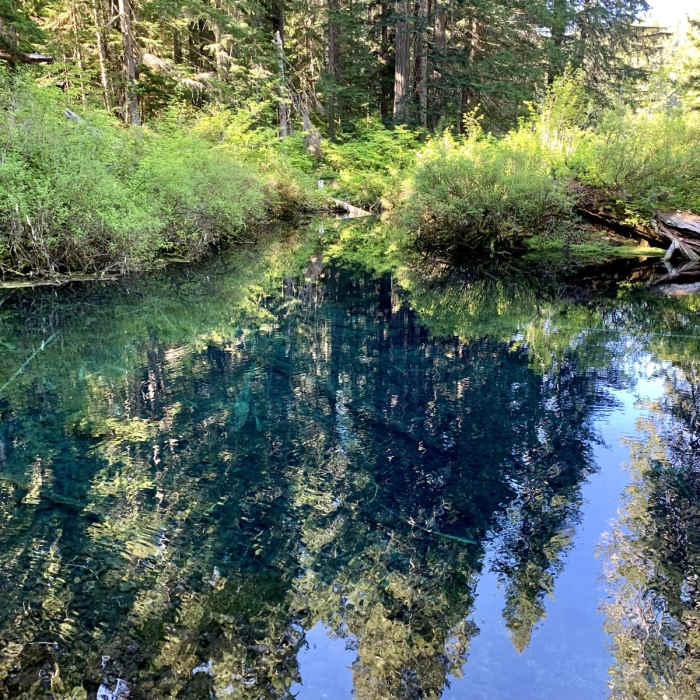Near The McKenzie River National Recreation Trail (No. 3507)