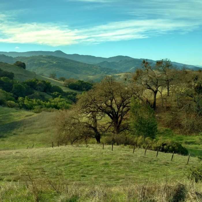 Near Figueroa Trail