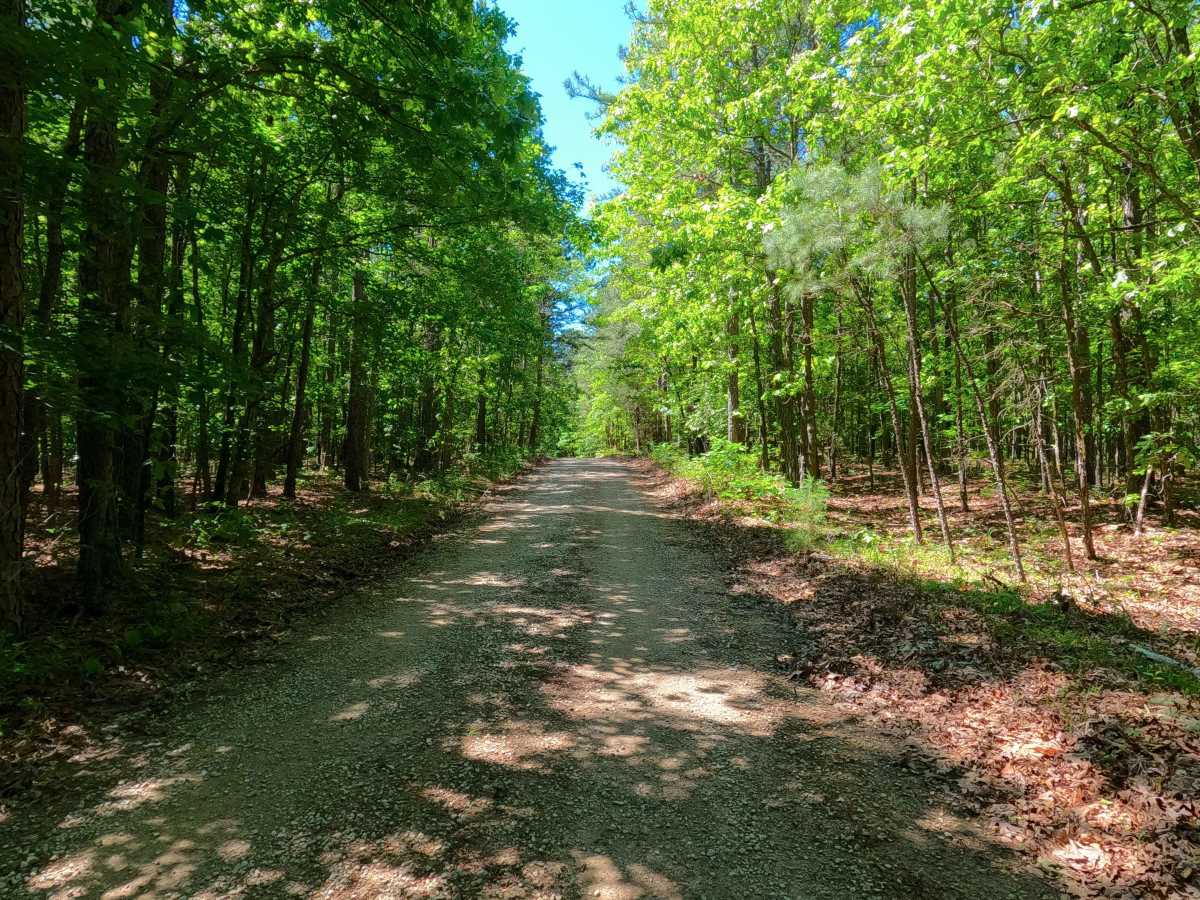 Bradley Ridge - FS 3521 photo 4