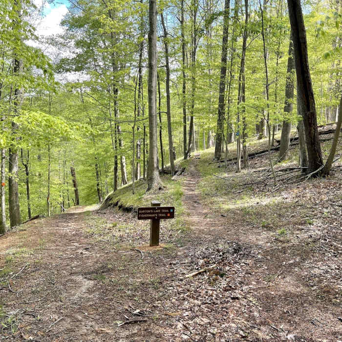 Barton's Lake Trail where it meets the Fisherman's Trail trailhead. Near Lodge to Lake and Back