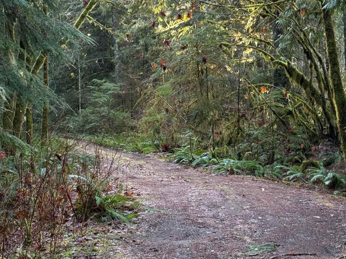 Rat Trap Pass Spur 1 photo 4