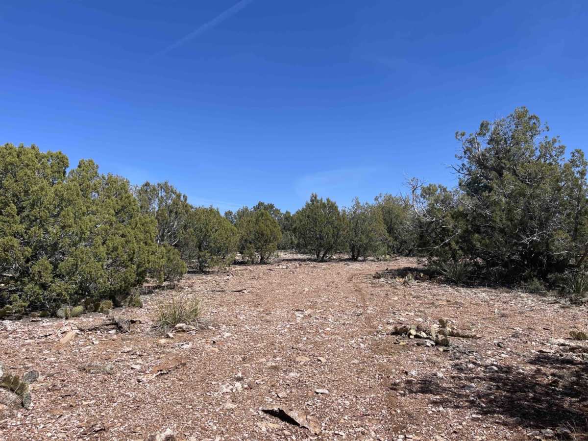 Juniper Meadows photo 3