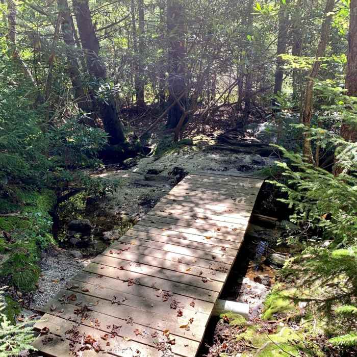 Near Balanced Rock Trail