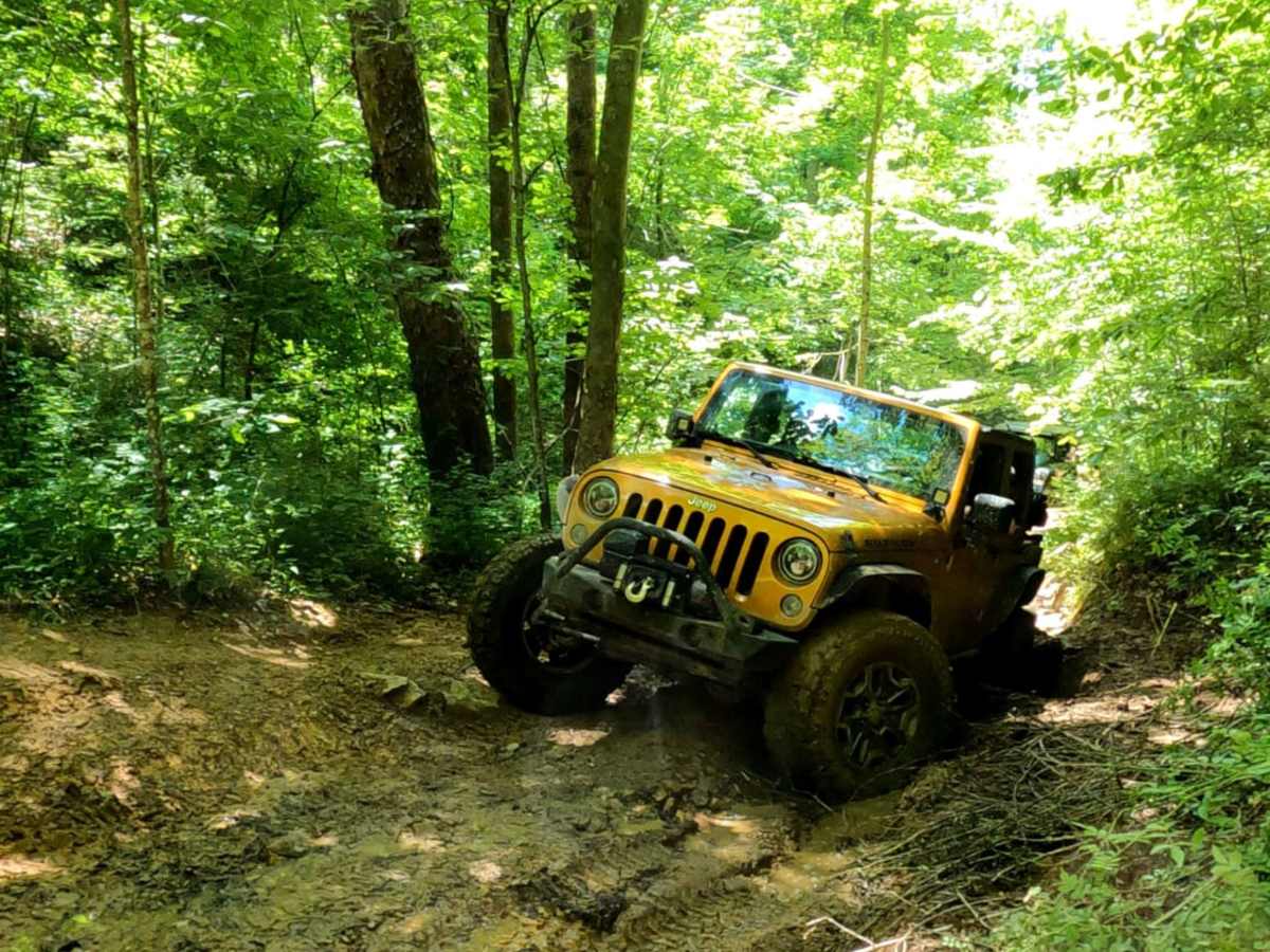 Cold Iron Fork Road photo 3