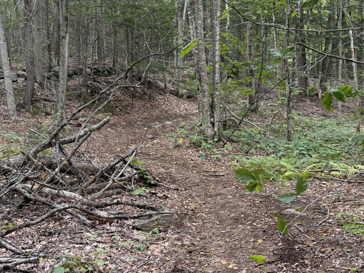 Moulton Road trail photo