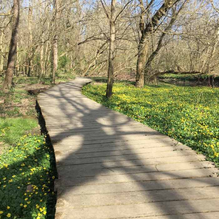 Near Great Oaks Trails