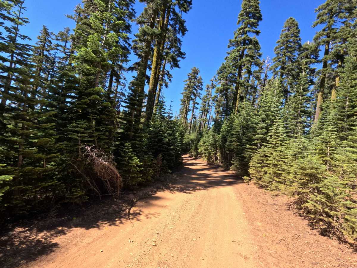 Deer Lake Road - FS 93-001 photo 6