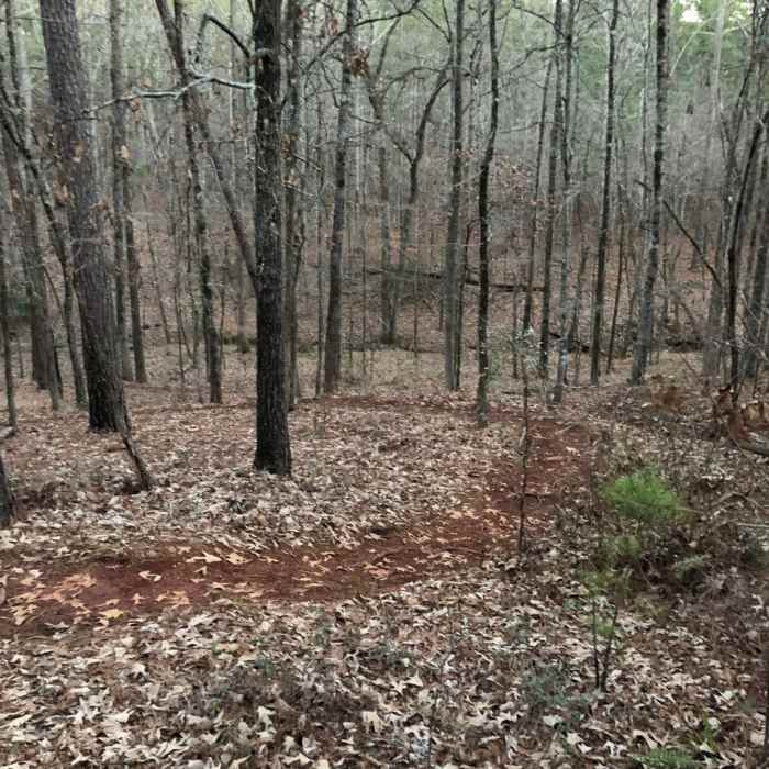 A winding trail. Near Turkey Run