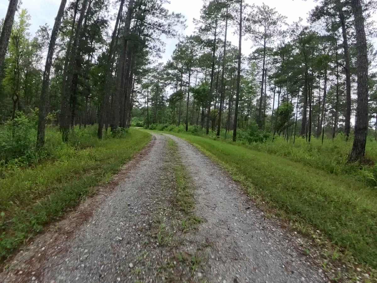 West Vaco Road photo 6
